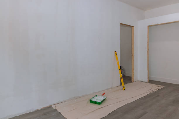 Best Drywall Removal and Disposal  in Wyoming, MN